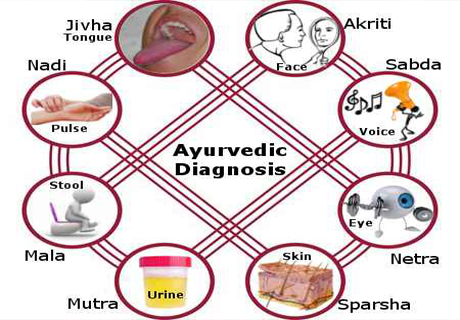 Amruthendu Ayurveda hospital